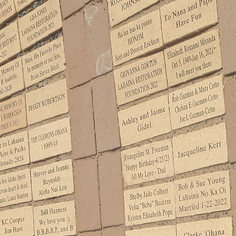 image of 4x8 inch brick for purchase