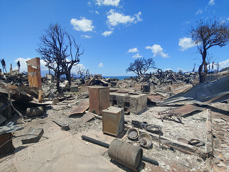 image of Wo Hing looking across to cookhouse to hall.