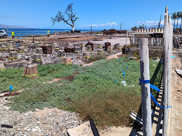 image of Wo Hing Chinese Museum after debris removal
